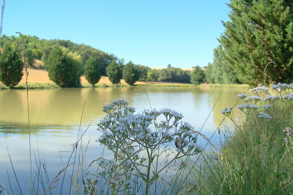 Chambre D'Hotes Le Moulin D'Encor Seysses-Saves Екстер'єр фото